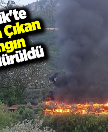 Bilecik'te ağılda çıkan yangın söndürüldü
