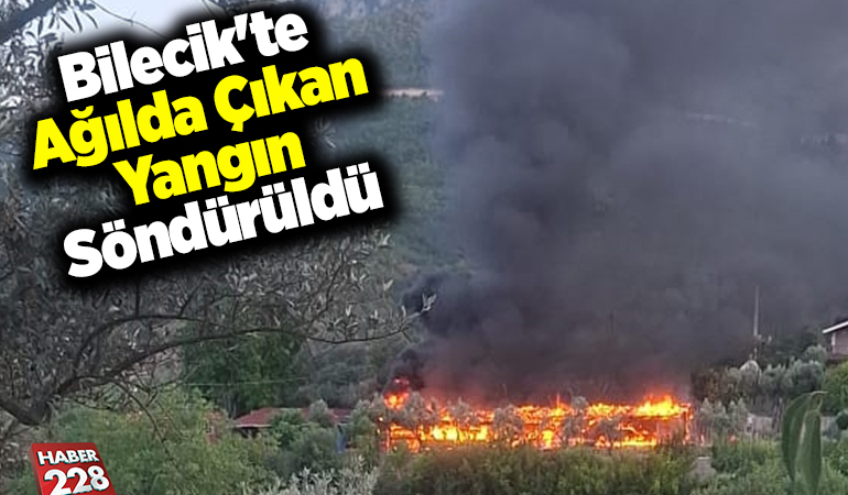 Bilecik’te ağılda çıkan yangın söndürüldü