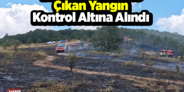 Bilecik'te arazide çıkan yangın kontrol altına alındı