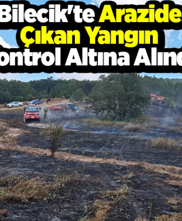 Bilecik'te arazide çıkan yangın kontrol altına alındı