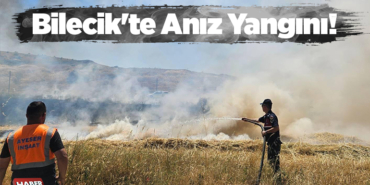 Bilecik'te çıkan anız yangını söndürüldü