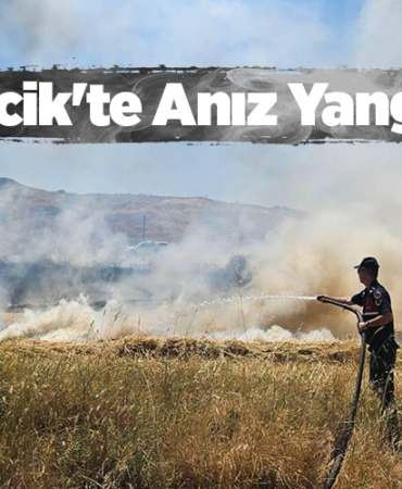 Bilecik'te çıkan anız yangını söndürüldü