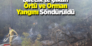 Bilecik'te çıkan örtü ve orman yangını söndürüldü