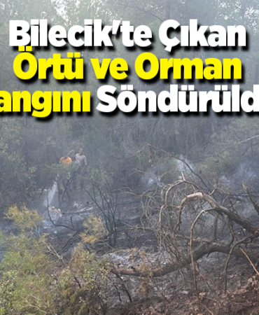 Bilecik'te çıkan örtü ve orman yangını söndürüldü