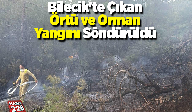 Bilecik’te çıkan örtü ve orman yangını söndürüldü