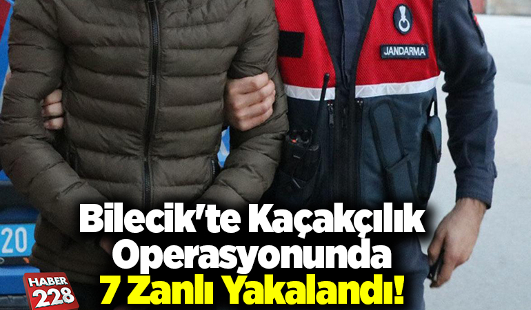 Bilecik’te kaçakçılık operasyonunda 7 zanlı yakalandı