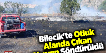 Bilecik'te otluk alanda çıkan yangın söndürüldü