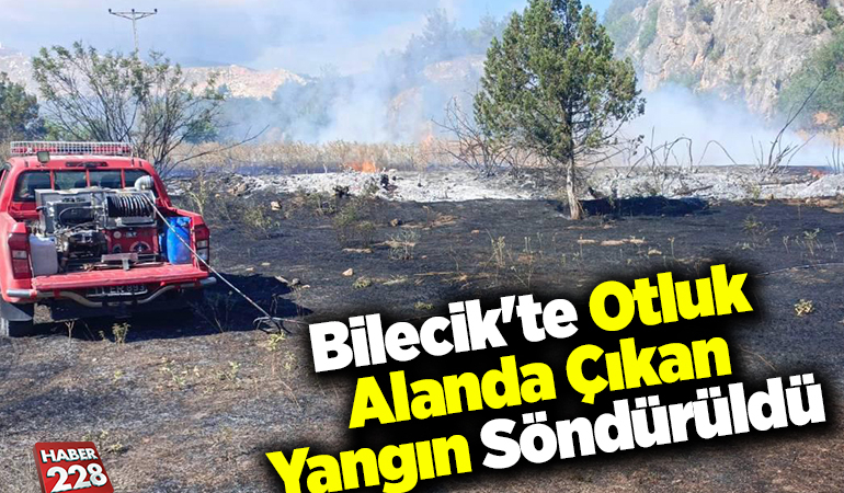 Bilecik’te otluk alanda çıkan yangın söndürüldü