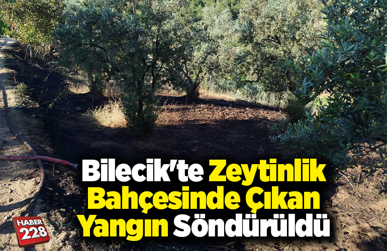 manset