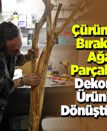 Çürümeye bırakılan ağaç parçalarını dekoratif ürünlere dönüştürüyor