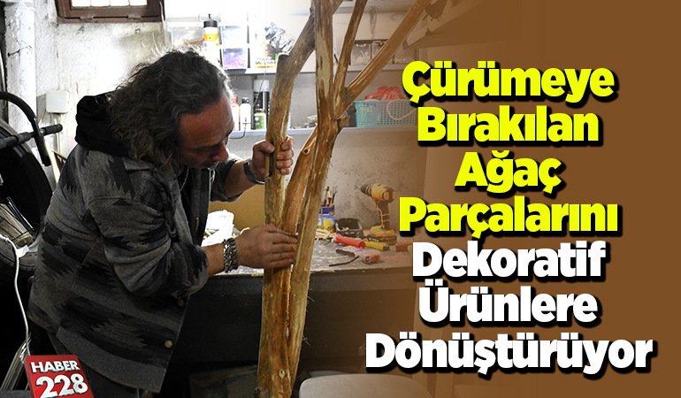 Çürümeye bırakılan ağaç parçalarını dekoratif ürünlere dönüştürüyor