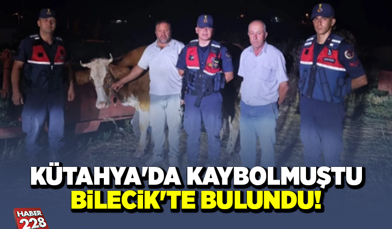 KÜTAHYA’DA KAYBOLMUŞTU BİLECİK’TE BULUNDU!