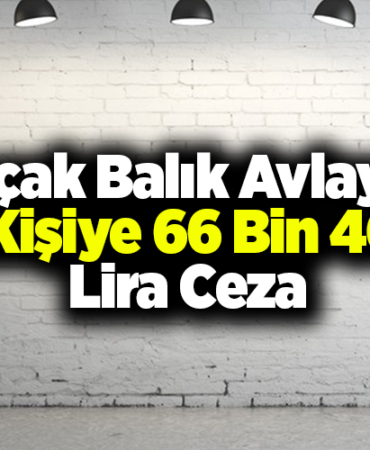 Kaçak balık avlayan 4 kişiye 66 bin 400 lira ceza