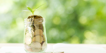 A coin in a glass bottle with a small tree