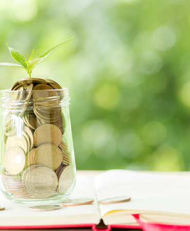 A coin in a glass bottle with a small tree