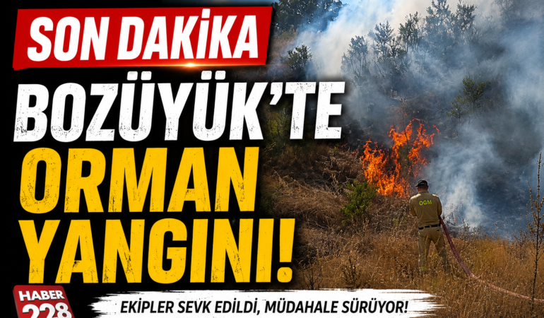 SON DAKİKA: BOZÜYÜK’TE ORMAN YANGINI!