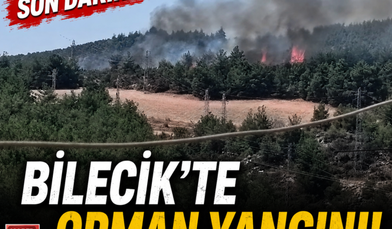 BİLECİK’TE ORMAN YANGINI BÜYÜMEDEN SÖNDÜRÜLDÜ