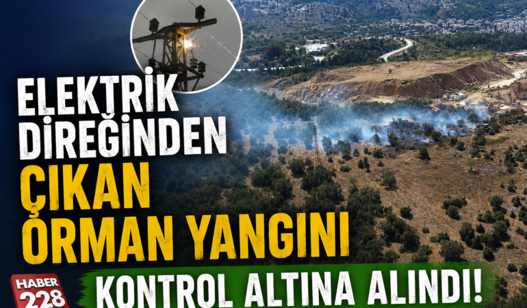SÖĞÜT’TE ELEKTRİK DİREĞİNDEN ÇIKAN ORMAN YANGINI KONTROL ALTINA ALINDI