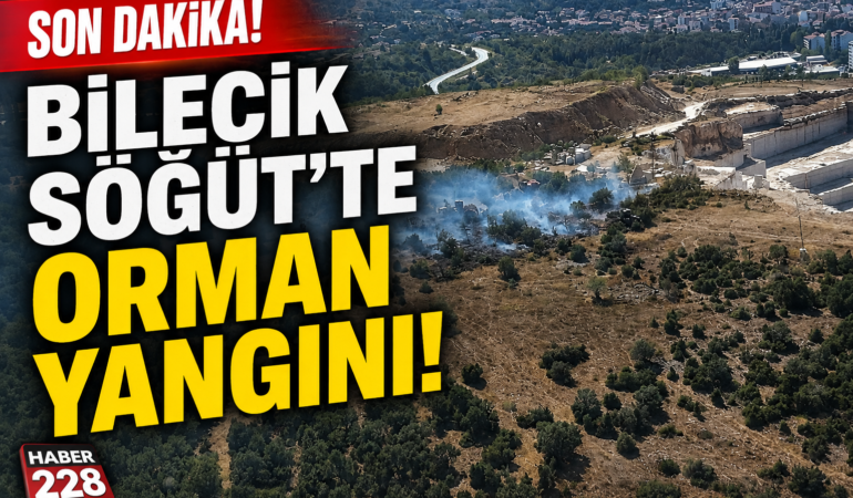SON DAKİKA: BİLECİK SÖĞÜT’TE ORMAN YANGINI!