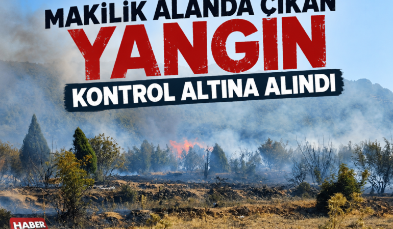 Bilecik’te makilik alanda çıkan yangın kontrol altına alındı