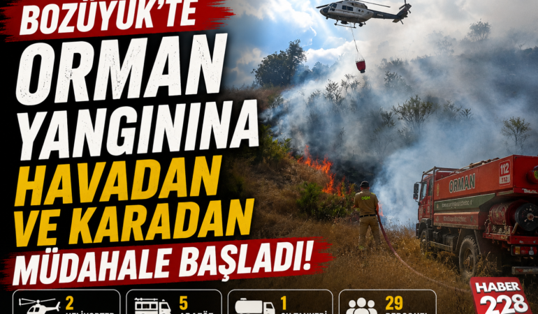 BOZÜYÜK’TE ORMAN YANGININA HAVADAN VE KARADAN DESTEK BAŞLADI!