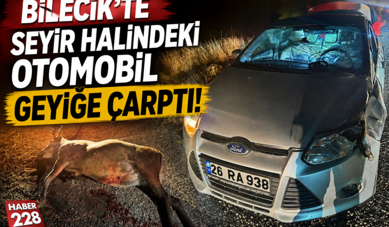 Bilecik’te seyir halindeki otomobil geyiğe çarptı