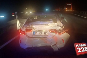 bilecik-haber_bilecik-te-tirin-otomobile-carptigi-kazada-2-si-cocuk-3-kisi-yaralandi-8312.jpg