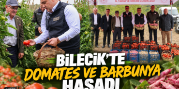 000E9D0E-13F9-42A7-96E8-43B8D874A77C