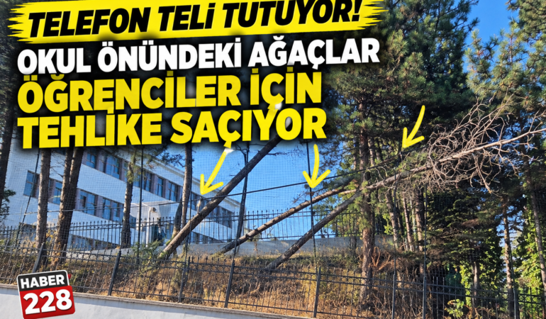 “Telefon Teli Tutuyor! Okul Önündeki Ağaçlar Öğrenciler İçin Tehlike Saçıyor”