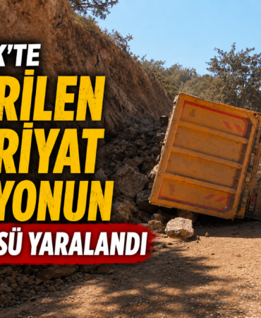 11DD1E15-38D4-4F2D-9CBC-89559D6F6562