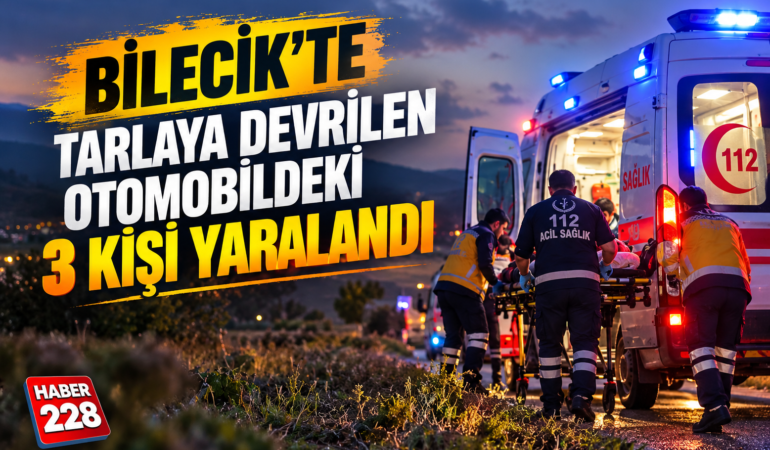 Bilecik’te tarlaya devrilen otomobildeki 3 kişi yaralandı
