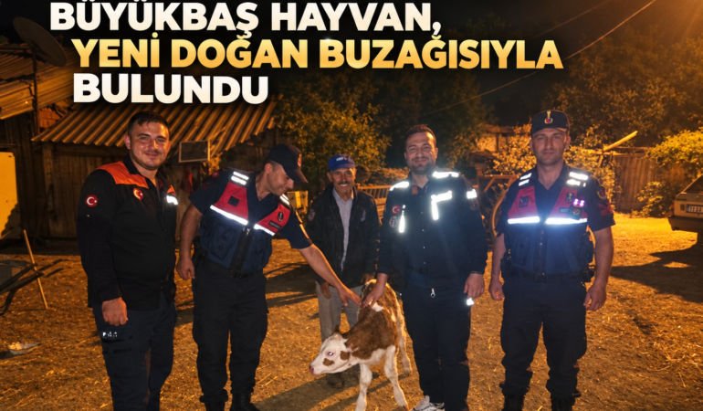 Bilecik’te kaybolan büyükbaş hayvan yeni doğan buzağı ile bulundu