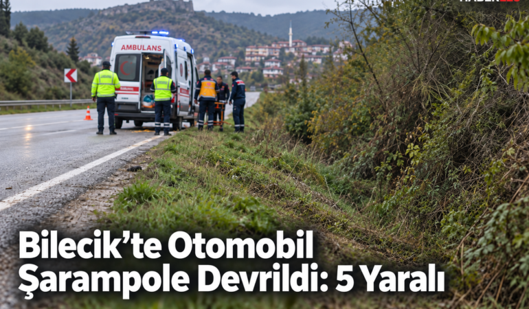 Bilecik’te otomobilin şarampole devrildiği kazada 5 kişi yaralandı