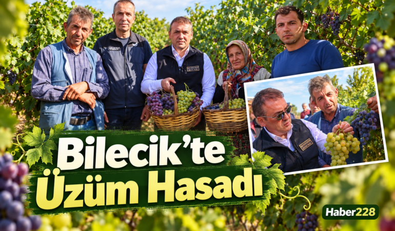 Bilecik’te Üzüm Hasadı!