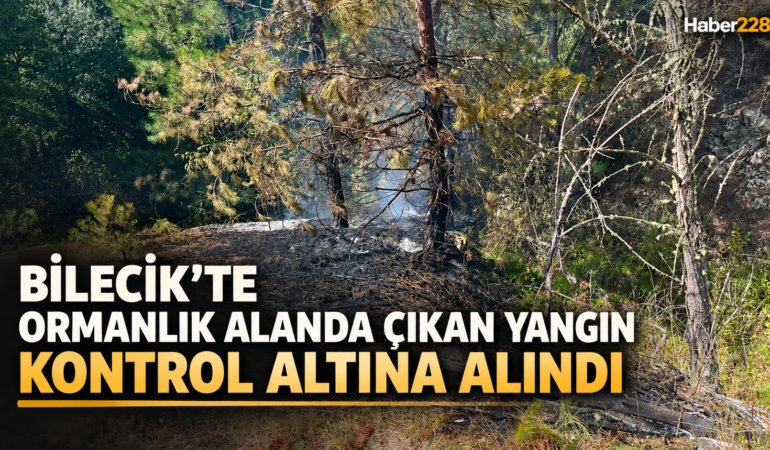 Bilecik’te ormanlık alanda çıkan yangın kontrol altına alındı