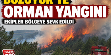 F04B9F44-39A6-4C6C-94ED-57F57EF0BEB4