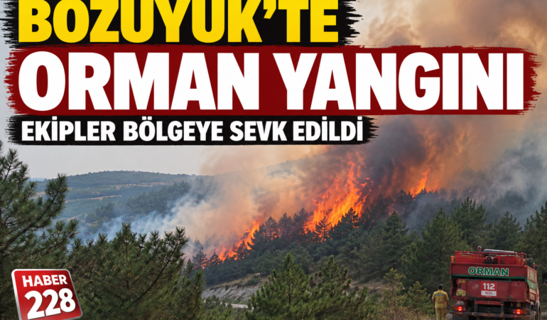 F04B9F44-39A6-4C6C-94ED-57F57EF0BEB4