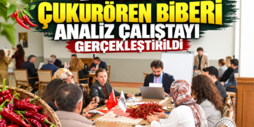 538B0FAB-61B3-4D03-89ED-8A19C4C64E2E