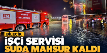 81E135D1-59E2-4120-AA9D-B542B181075A
