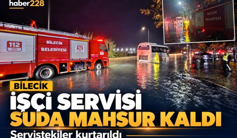 81E135D1-59E2-4120-AA9D-B542B181075A